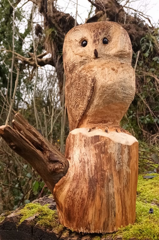 Hand Carved Scots Pine Owl