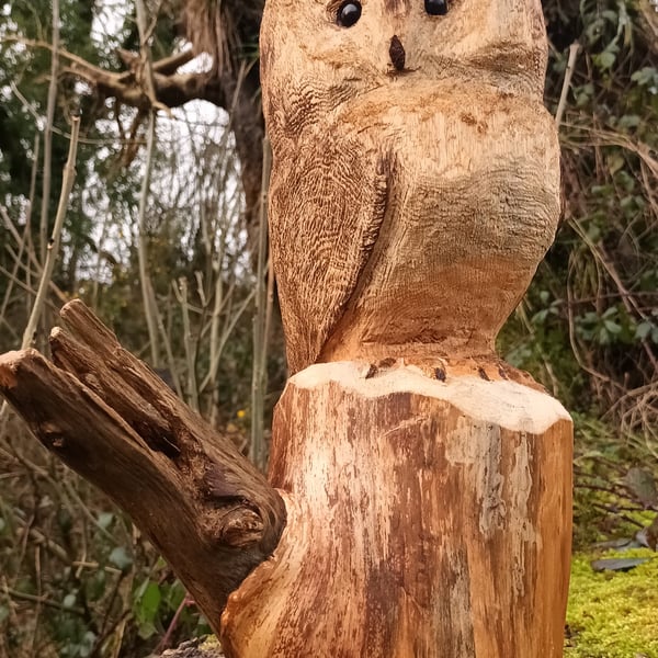 Hand Carved Scots Pine Owl