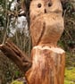 Hand Carved Scots Pine Owl - Image 1