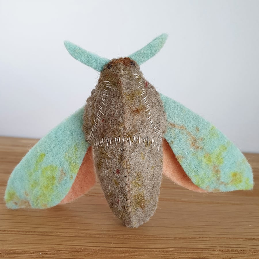 Naturally Dyed Felt Light & Shade Moth – Aqua Moon