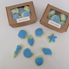Box Of Shells 