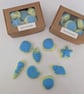 Box Of Shells 