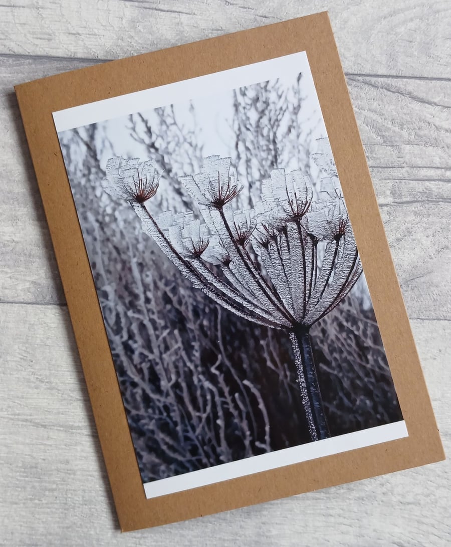Winter Frost Photo Greetings Card (A), Christmas Card, Notecard