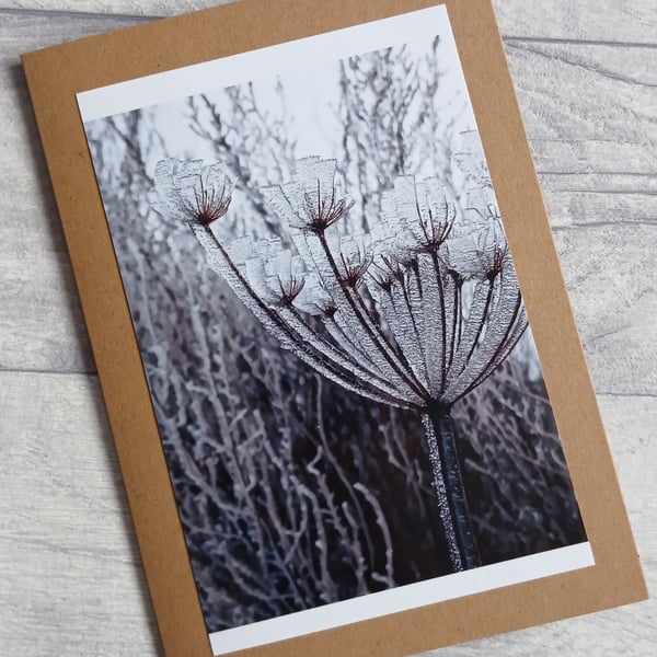 Winter Frost Photo Greetings Card (A), Christmas Card, Notecard