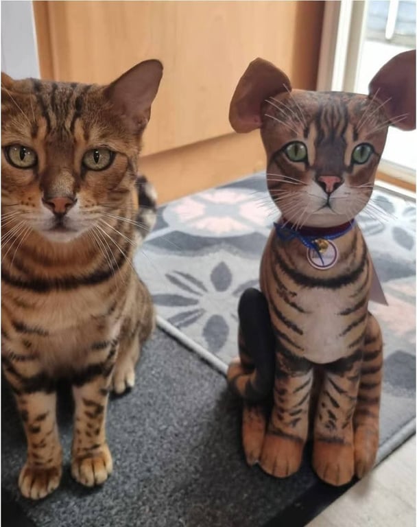Cat Keepsakes 