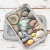 fabric pebbles, 3D shells and ammonite picture, framed in tin, beach gift