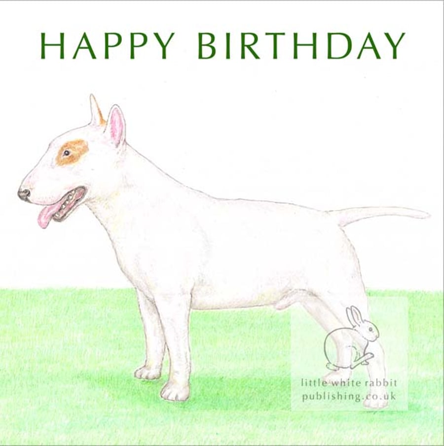 Frank the English Bull Terrier - Birthday Card