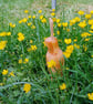 Hare today gone tomorrow. - Image 4