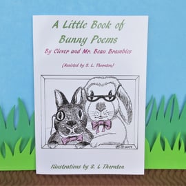 First Edition A Little Book of Bunny Poems paperback bunny rabbit poetry