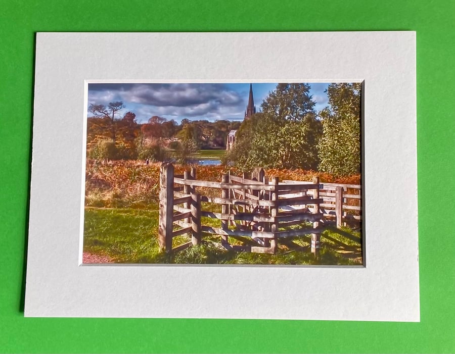 Clumber Park Nottinghm - Photograph with White Mount and Backing Board