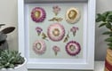 Pressed Flower Framed Art
