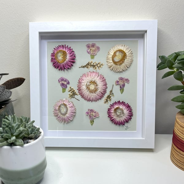 Real Pressed Flower Botanical Framed Art