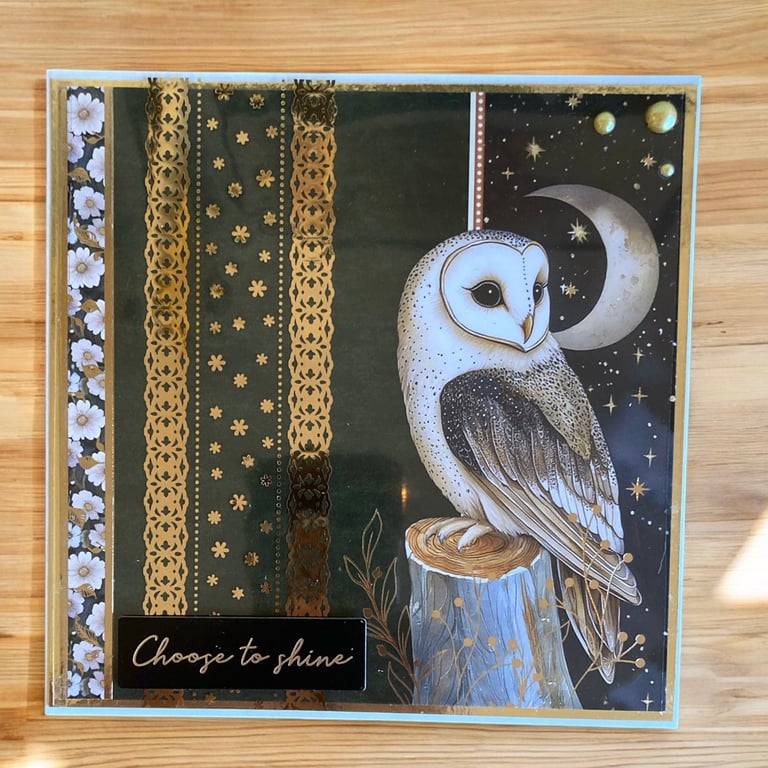 Owl & Moon Blank Greeting Card  “Choose to Shine”