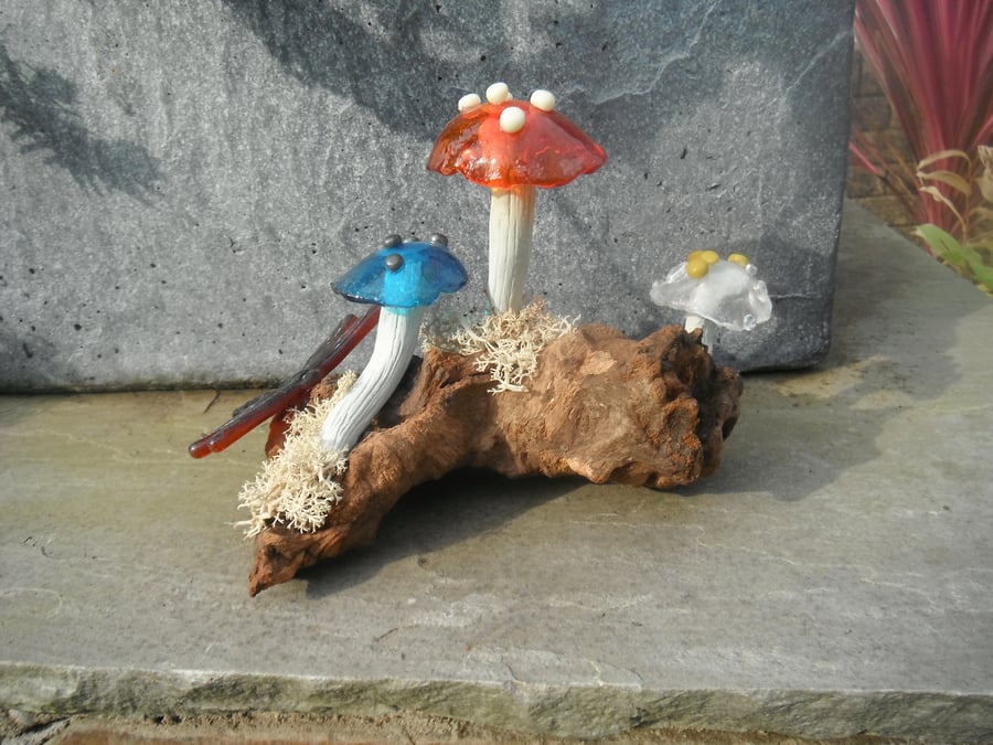 Woodland Mushrooms with Dragonfly