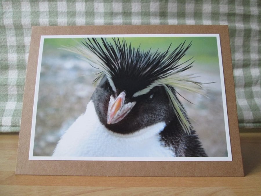 Rockhopper Penguin Photo Greetings Card