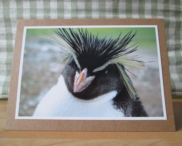 Rockhopper Penguin Photo Greetings Card