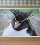 Rockhopper Penguin Photo Greetings Card - Image 1