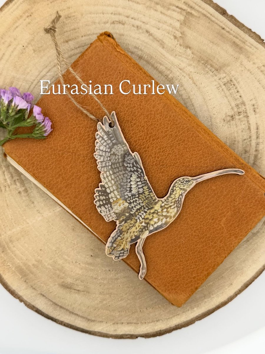 Laser Cut Wooden Curlew Decoration 
