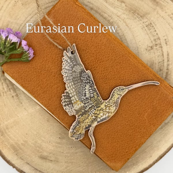 Laser Cut Wooden Curlew Decoration 