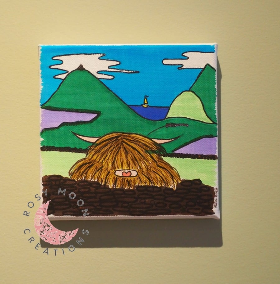 Highland Cow Picture