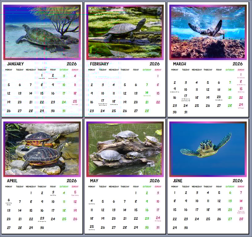 2026 A4 Calendar Turtles Reptiles 