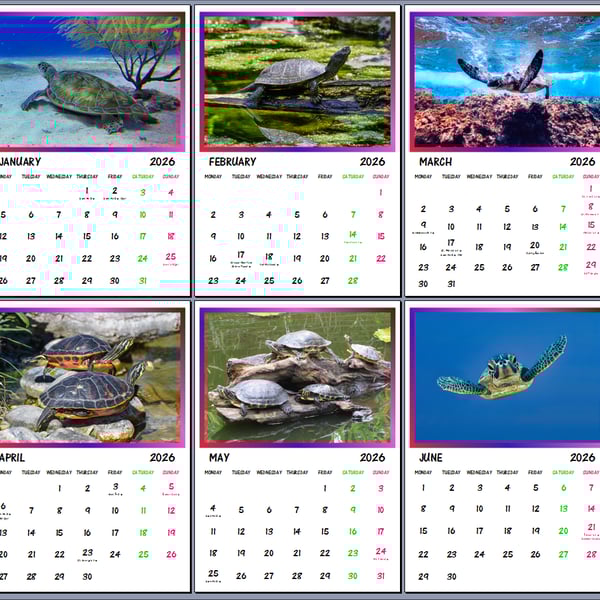 2026 A4 Calendar Turtles Reptiles 