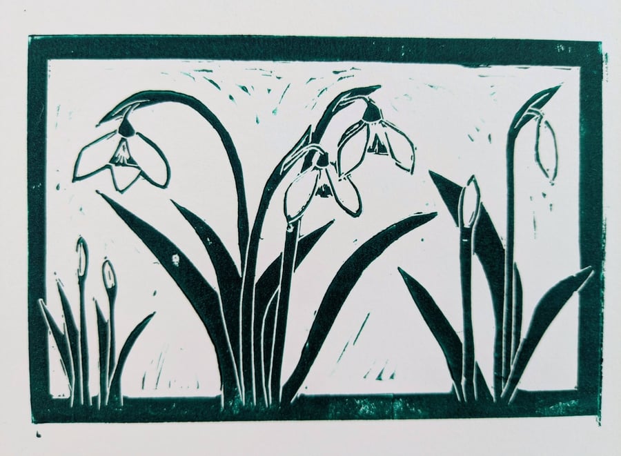 Snowdrops