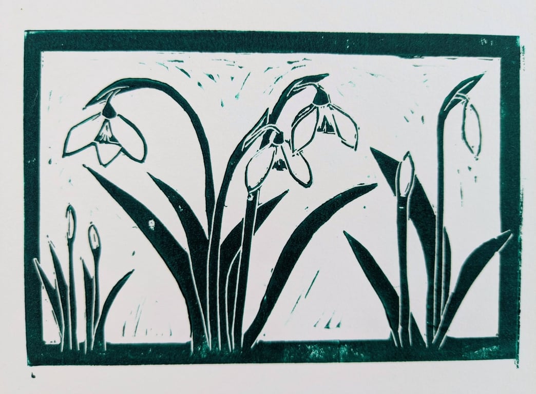 Snowdrops