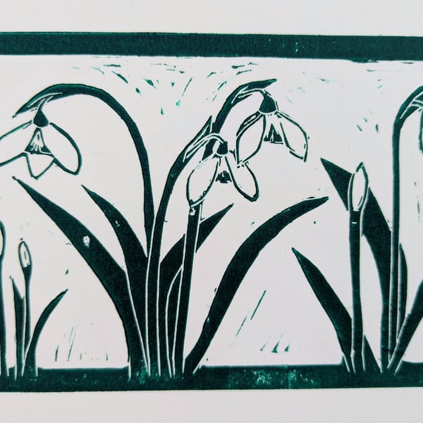 Snowdrops