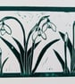 Snowdrops