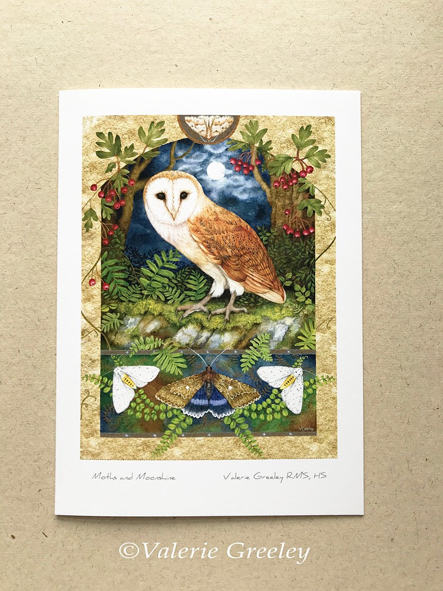Moths and Moonshine card by Valerie Greeley