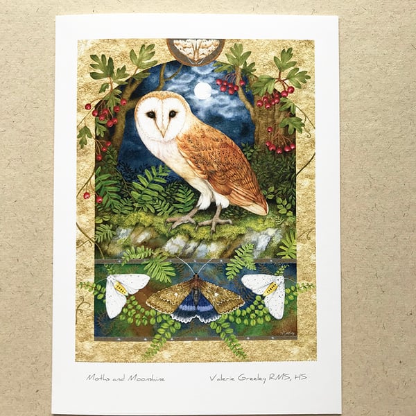 Moths and Moonshine card by Valerie Greeley