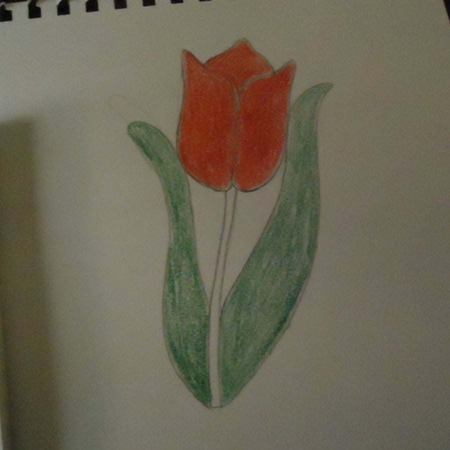 Glass Tulip for Melstar private sale 