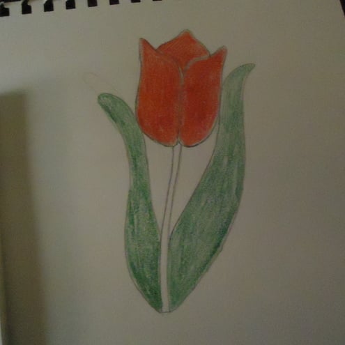 Glass Tulip for Melstar private sale 