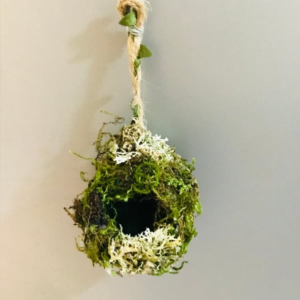 Jumping spider fairy garden moss ball magnetic 
