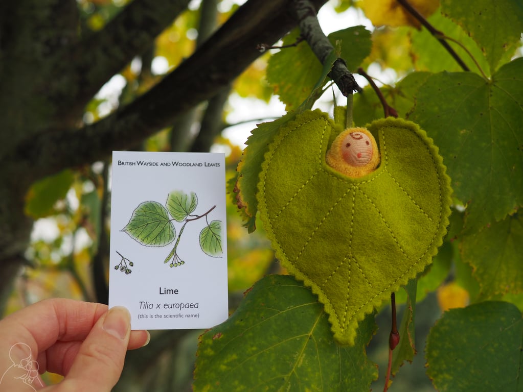 Lime leaf baby fairy doll