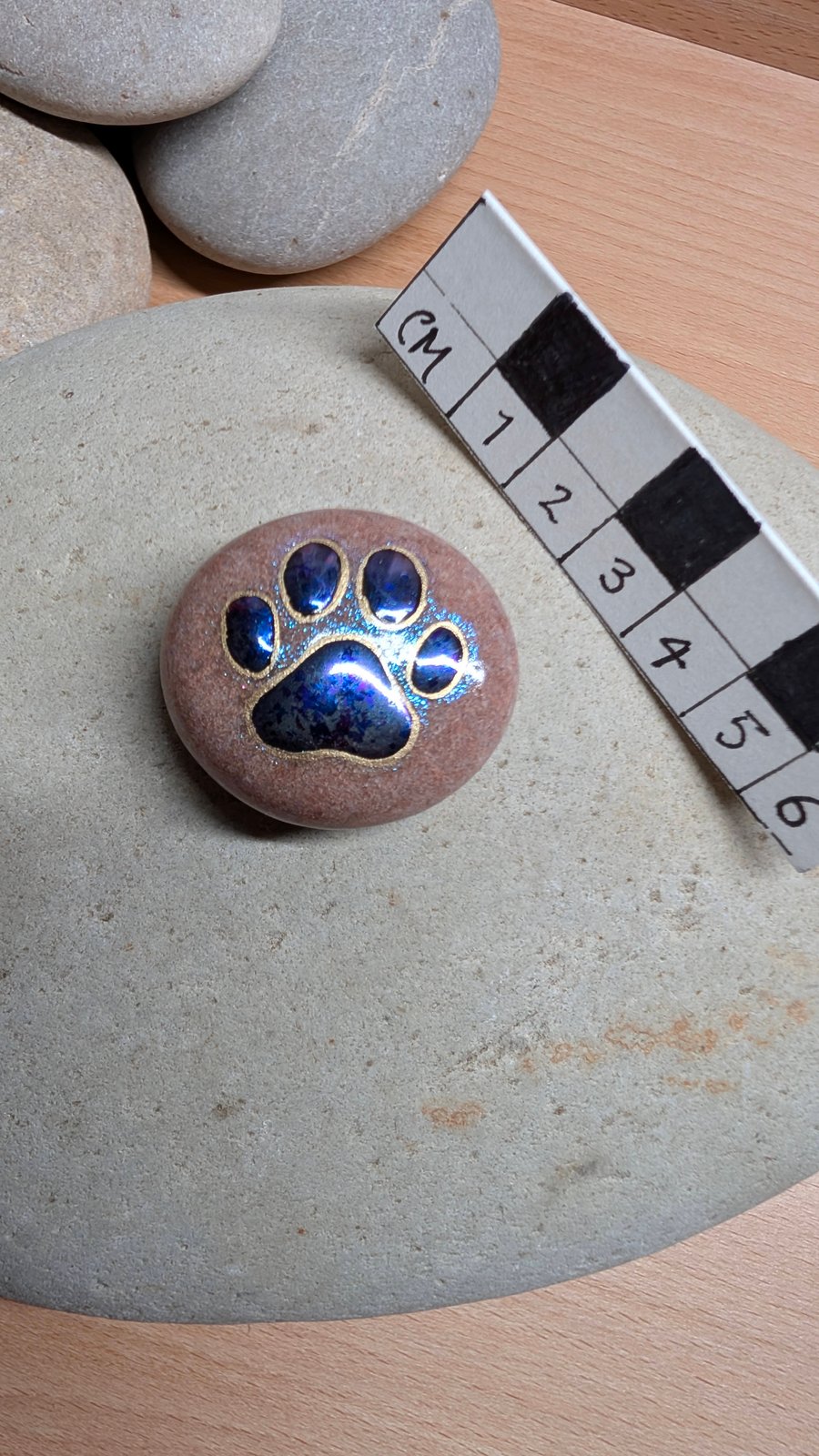 Paw Print Stone