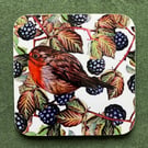 BlackBerry Robin Coaster