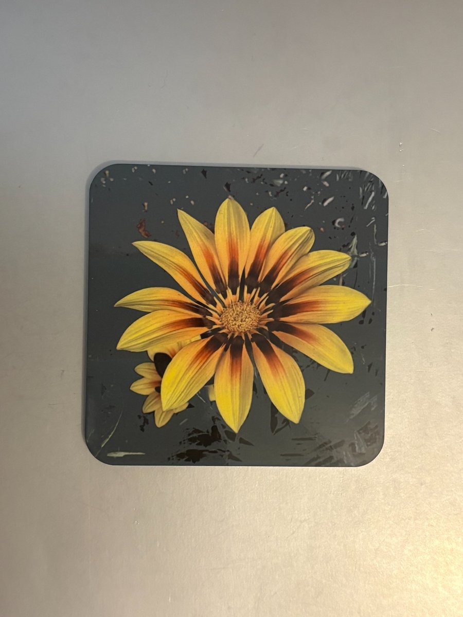 Gazania 9.5cm cork backed coaster 