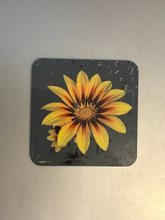 Gazania 9.5cm cork backed coaster 