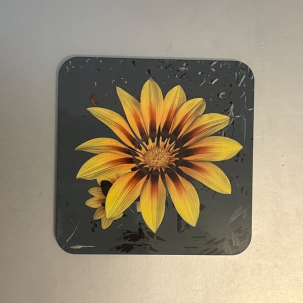 Gazania 9.5cm cork backed coaster 