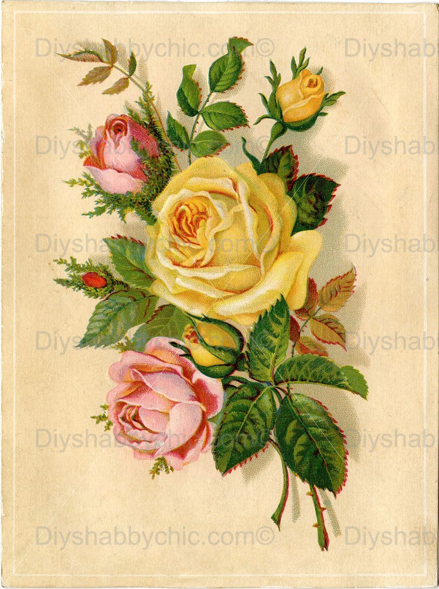 Waterslide Furniture Decal Vintage Image Transfer Shabby Chic Yellow Pink Rose