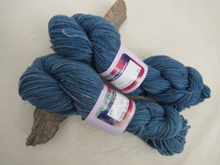 100g Iris BFL Space Dyed Natural Dye DK Yarn