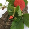 Strawberry Necklace Gold plated silver necklace with Enamel Details Red Green