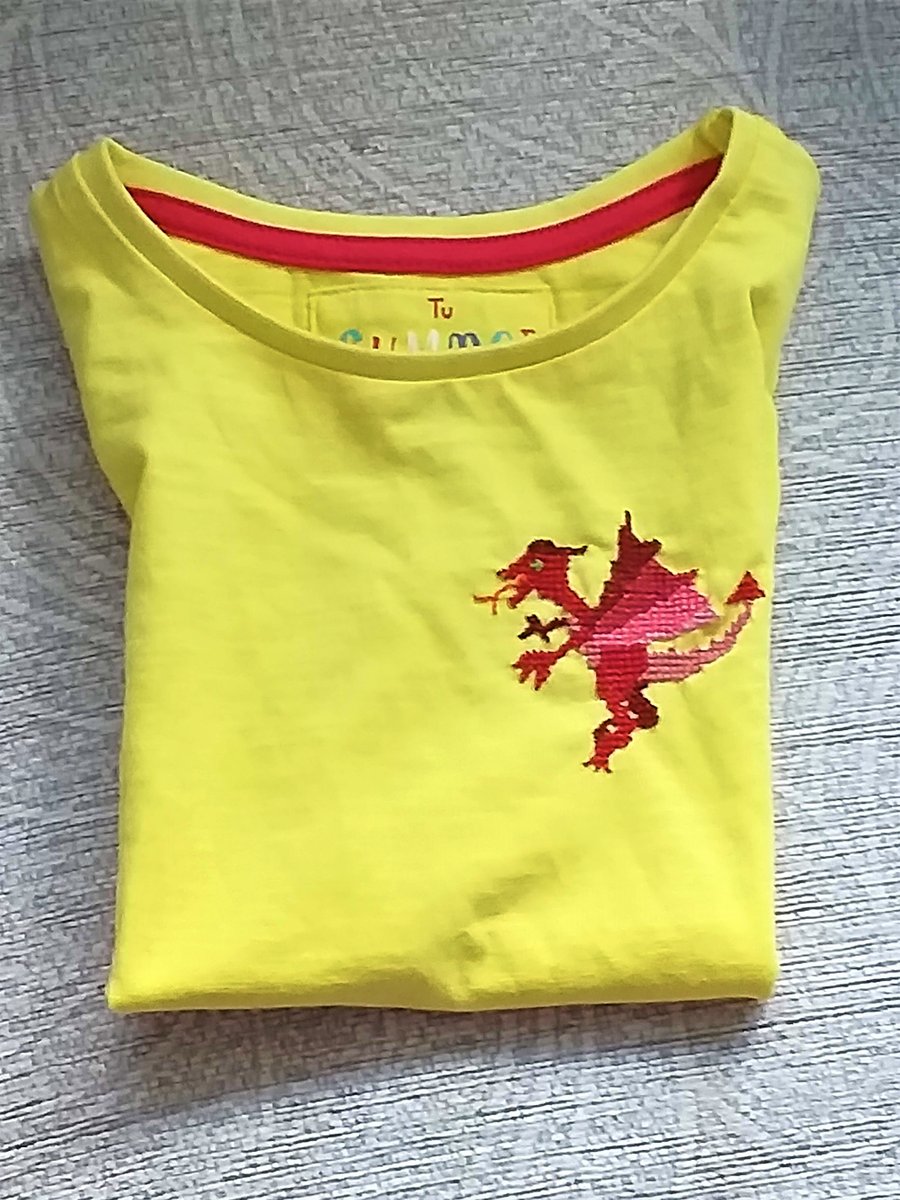 Dragon, T-shirt, age 3-4, hand embroidered