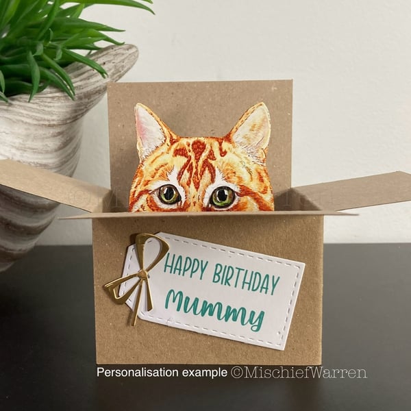 Ginger Cat in a Box Card. 3D Blank or Personalised Card. Gift card holder.