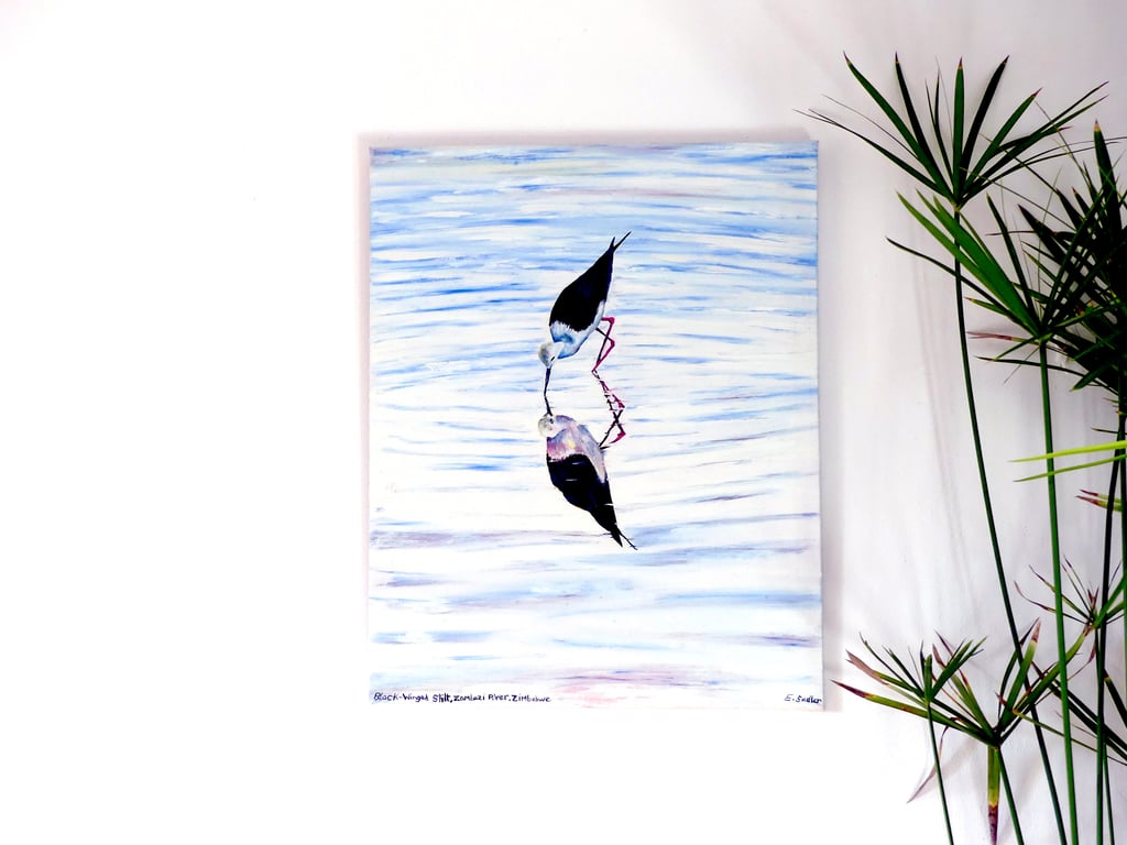 Black-winged Stilt Bird Original Oil Painting of African Wildlife