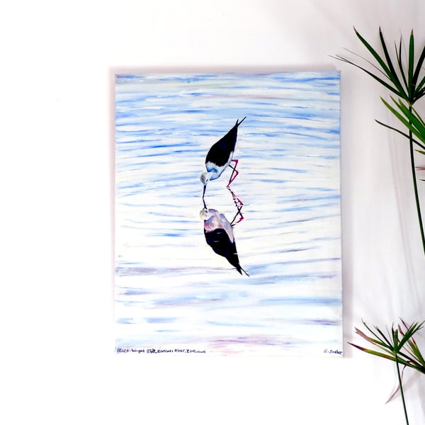 Black-winged Stilt Bird Original Oil Painting of African Wildlife