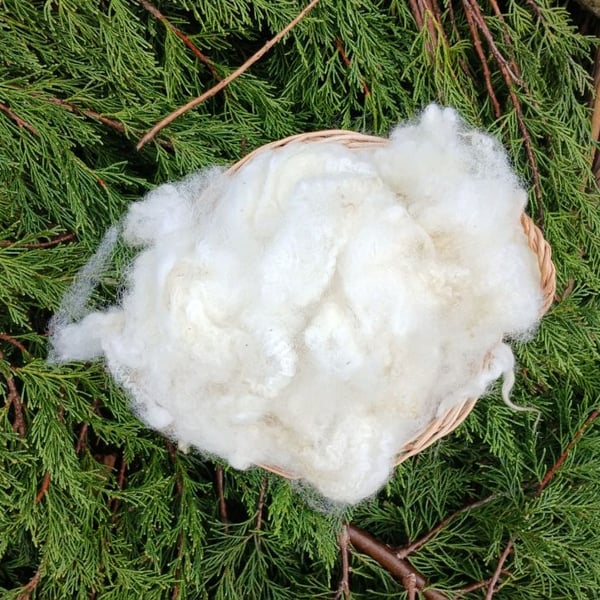 Mule Sheep Fleece 50g