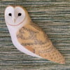 Barn owl